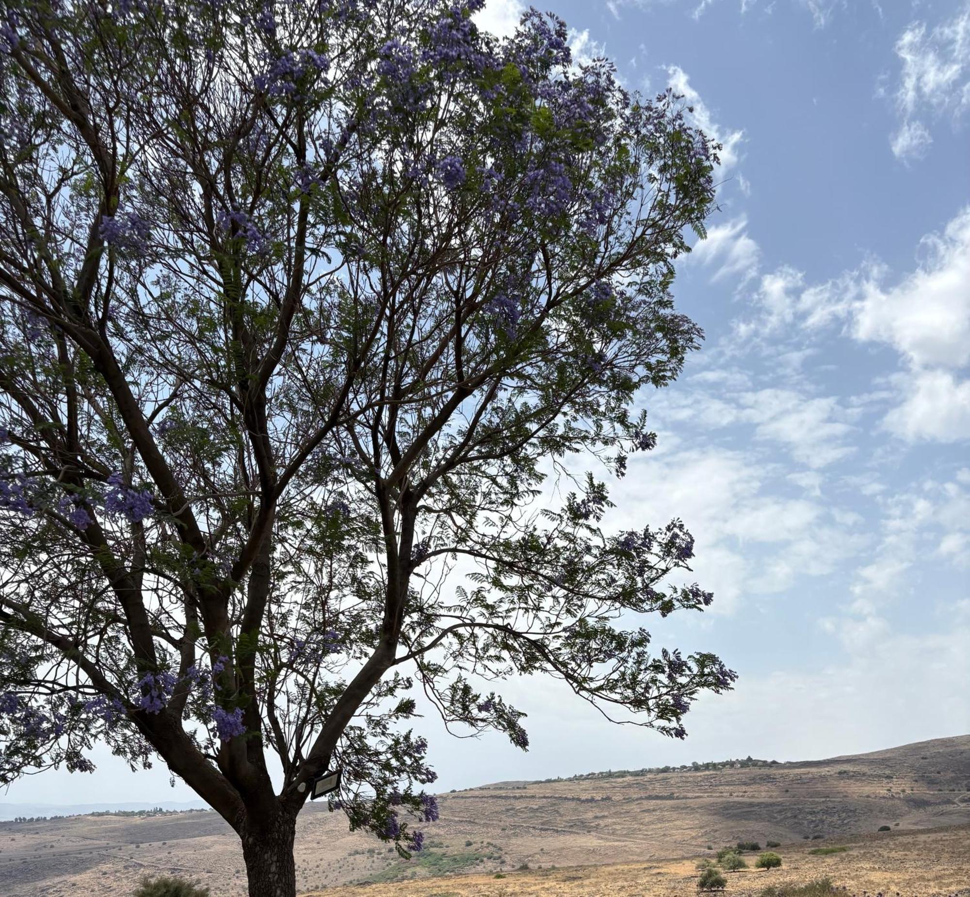 فيلا Kesem Bagolan هاد نيس المظهر الخارجي الصورة